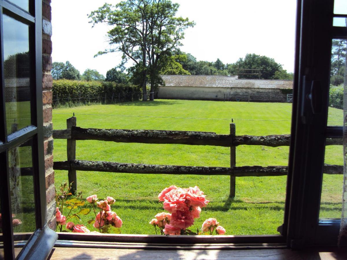 Bed and Breakfast La Pastorale La Puisaye Exteriér fotografie